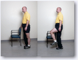 Hip  Flexion - Bending Hip Forward  